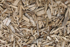 biomass boilers Lower Ledwyche